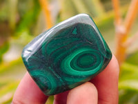 Polished Flower Banded Malachite Free Forms x 20 From Congo