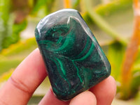 Polished Flower Banded Malachite Free Forms x 20 From Congo