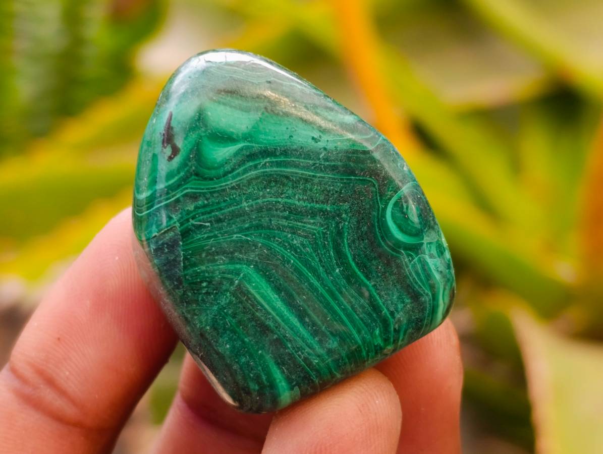Polished Flower Banded Malachite Free Forms x 20 From Congo - Toprock Gemstones and Minerals 