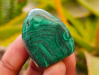 Polished Flower Banded Malachite Free Forms x 20 From Congo