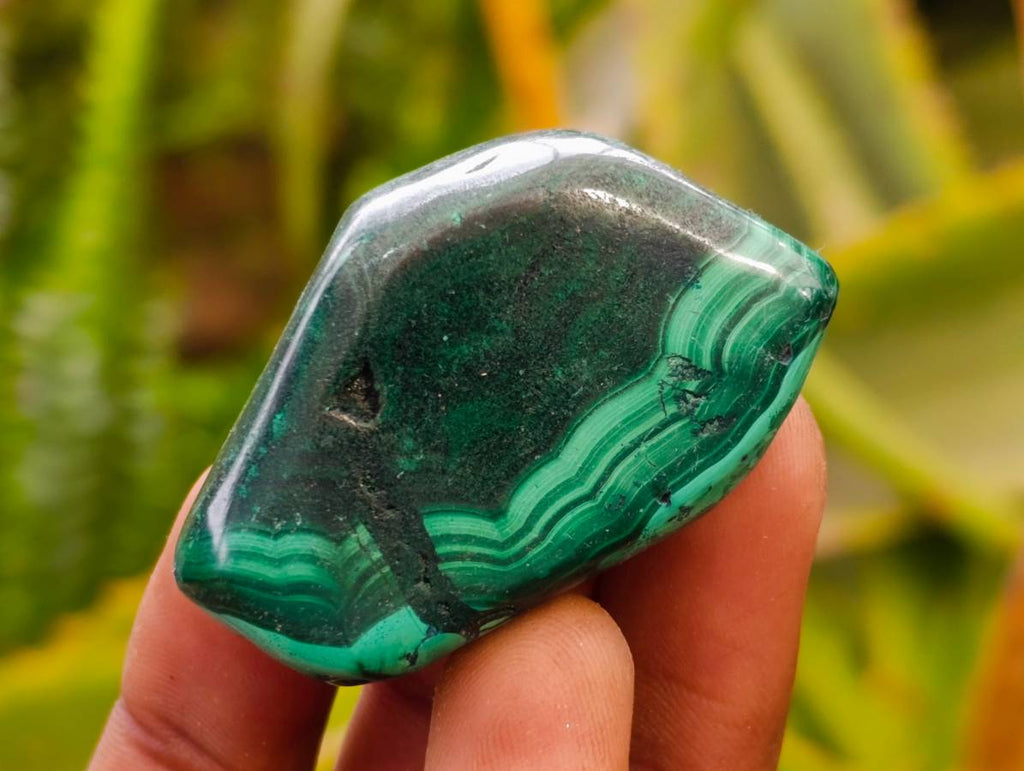 Polished Flower Banded Malachite Free Forms x 20 From Congo - Toprock Gemstones and Minerals 