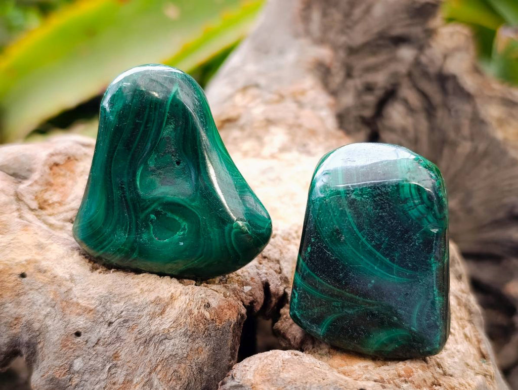 Polished Flower Banded Malachite Free Forms x 20 From Congo - Toprock Gemstones and Minerals 