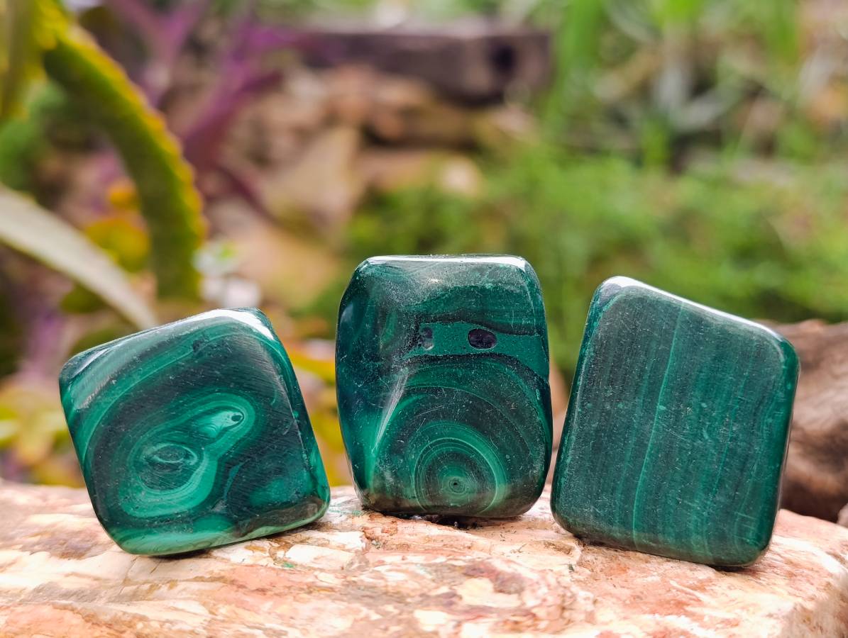 Polished Flower Banded Malachite Free Forms x 20 From Congo - Toprock Gemstones and Minerals 