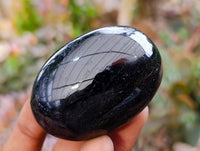 Polished Black Tourmaline Palm Stones x 12 From Madagascar