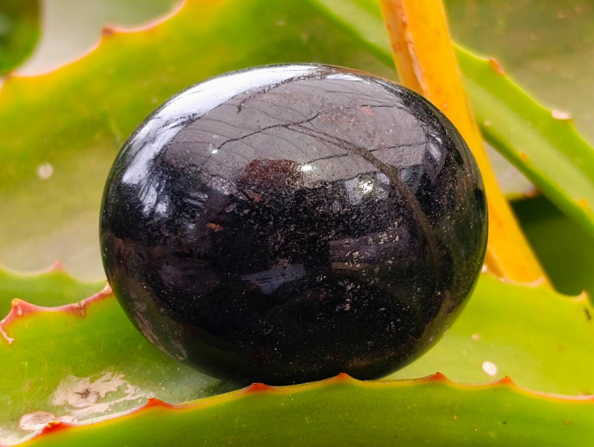 Polished Black Tourmaline Palm Stones x 12 From Madagascar - Toprock Gemstones and Minerals 