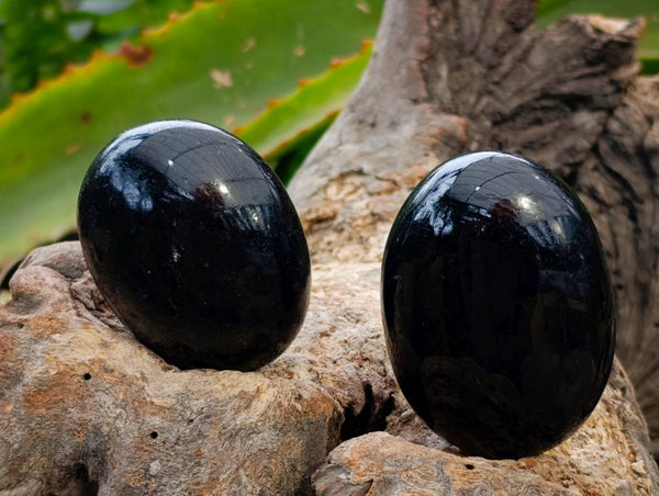 Polished Black Tourmaline Palm Stones x 12 From Madagascar