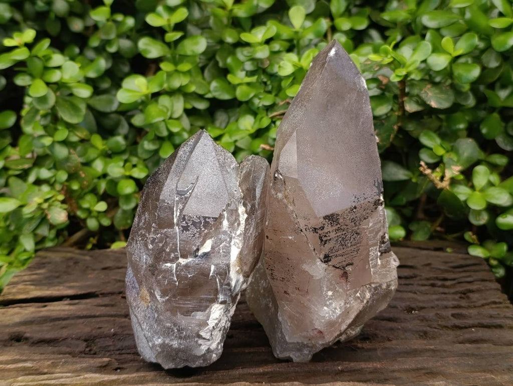 Natural Smokey Quartz Crystals x 2 From Mulanje, Malawi - Toprock Gemstones and Minerals 