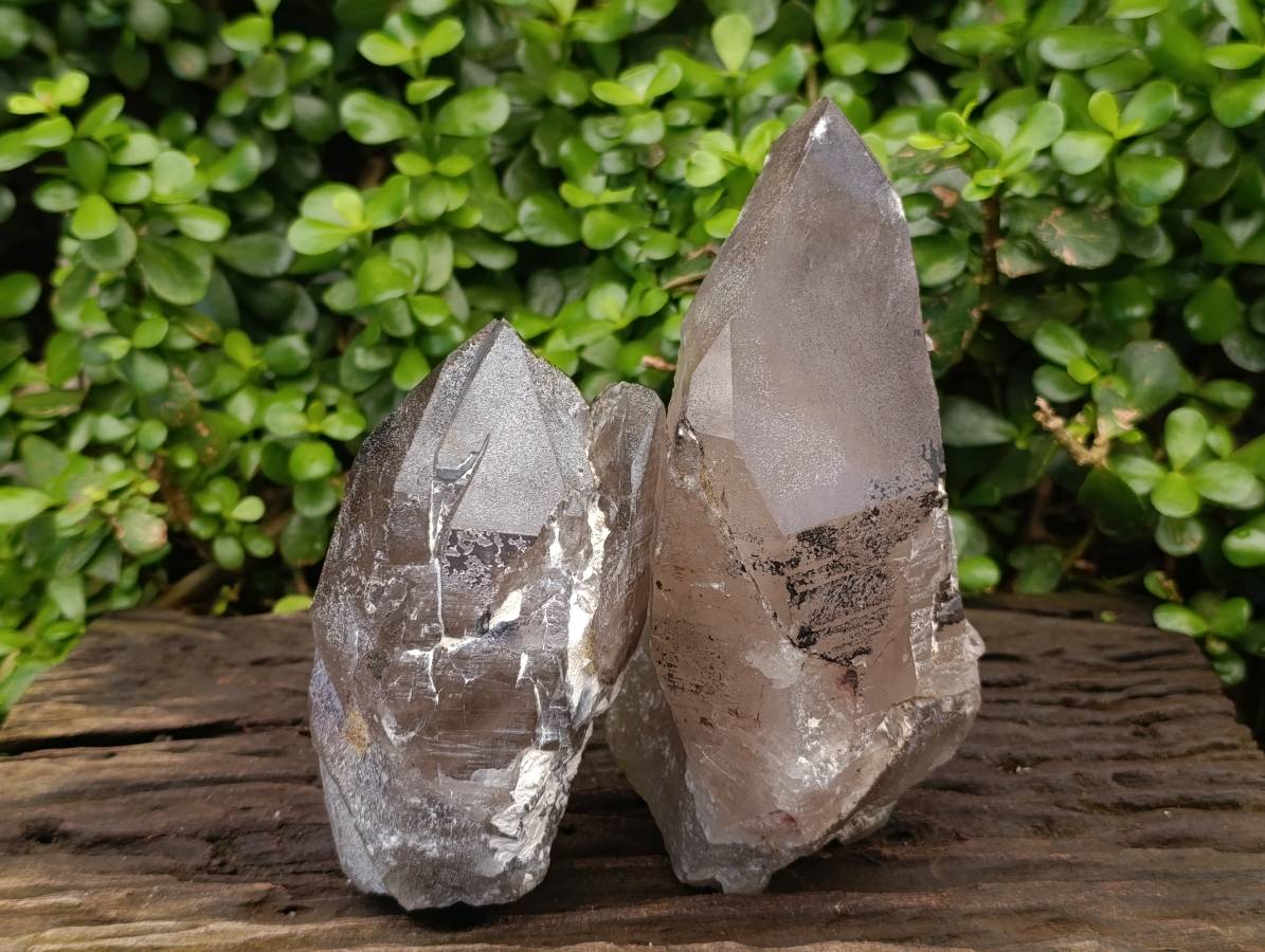 Natural Smokey Quartz Crystals x 2 From Mulanje, Malawi - Toprock Gemstones and Minerals 