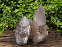 Natural Smokey Quartz Crystals x 2 From Mulanje, Malawi