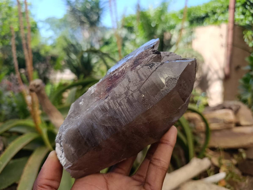 Natural Smokey Quartz Crystals x 2 From Mulanje, Malawi - Toprock Gemstones and Minerals 
