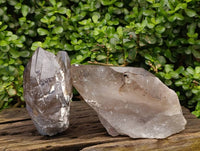 Natural Smokey Quartz Crystals x 2 From Mulanje, Malawi