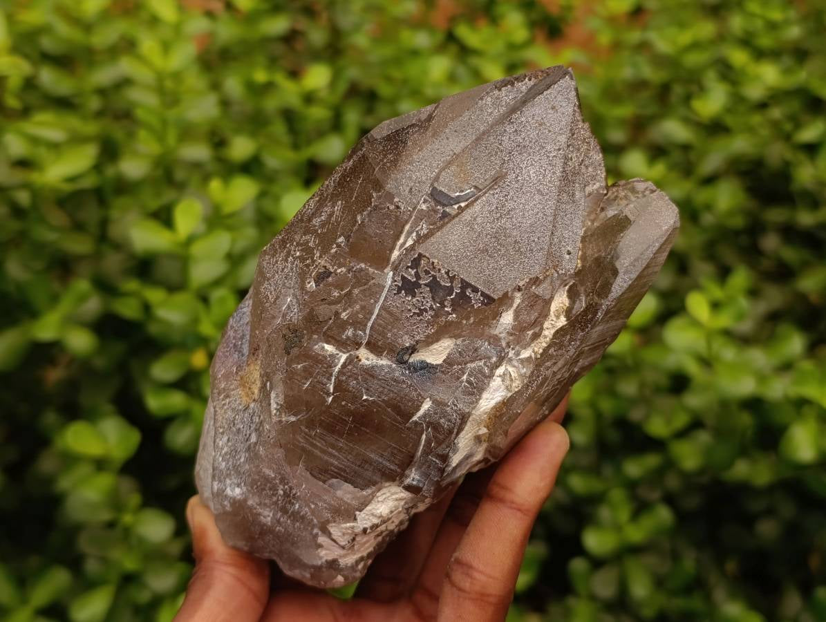Natural Smokey Quartz Crystals x 2 From Mulanje, Malawi - Toprock Gemstones and Minerals 