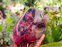 Polished Rhodonite Standing Free Forms x 2 From Rhusinga, Zimbabwe - Toprock Gemstones and Minerals 