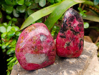 Polished Rhodonite Standing Free Forms x 2 From Rhusinga, Zimbabwe - Toprock Gemstones and Minerals 