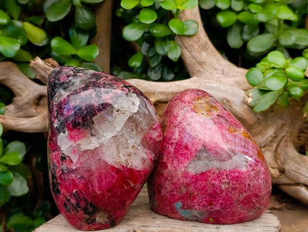 Polished Rhodonite Standing Free Forms x 2 From Rhusinga, Zimbabwe - Toprock Gemstones and Minerals 