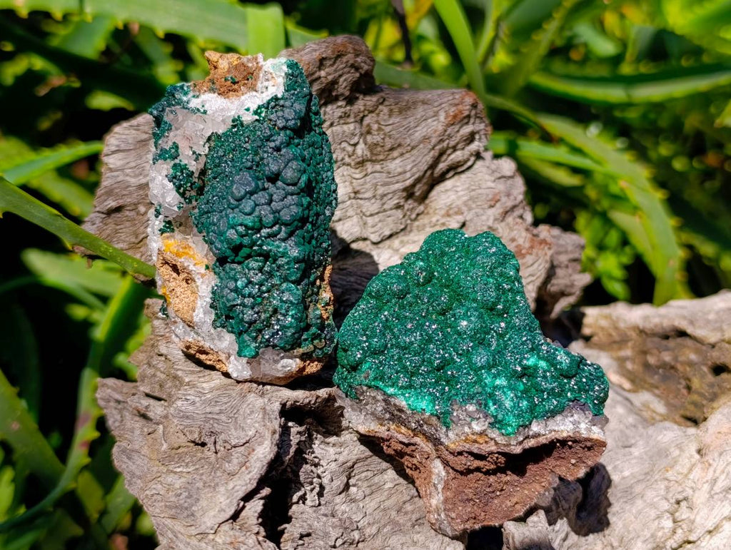 Natural Crystalline Ball Malachite and Drusy Quartz On Dolomite Matrix Specimens x 6 From Kambove, Congo - Toprock Gemstones and Minerals 
