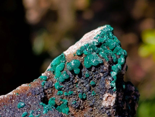 Natural Crystalline Ball Malachite and Drusy Quartz On Dolomite Matrix Specimens x 6 From Kambove, Congo - Toprock Gemstones and Minerals 