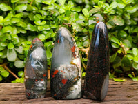 Polished Bloodstone Standing Free Forms x 3 From Swaziland - Toprock Gemstones and Minerals 
