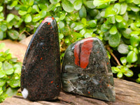 Polished Bloodstone Standing Free Forms x 3 From Swaziland - Toprock Gemstones and Minerals 