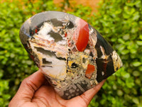 Polished Bloodstone Standing Free Forms x 3 From Swaziland - Toprock Gemstones and Minerals 