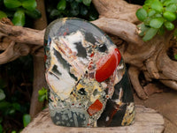 Polished Bloodstone Standing Free Forms x 3 From Swaziland - Toprock Gemstones and Minerals 