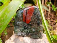 Polished Bloodstone Standing Free Forms x 3 From Swaziland - Toprock Gemstones and Minerals 