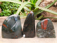 Polished Bloodstone Standing Free Forms x 3 From Swaziland - Toprock Gemstones and Minerals 
