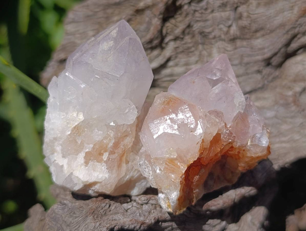 Natural Lilac Spirit Quartz Crystals x 20 From Boekenhouthoek, South Africa - Toprock Gemstones and Minerals 