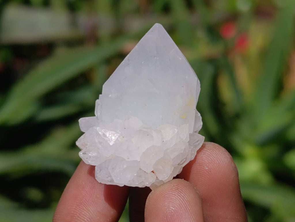 Natural Lilac Spirit Quartz Crystals x 20 From Boekenhouthoek, South Africa - Toprock Gemstones and Minerals 