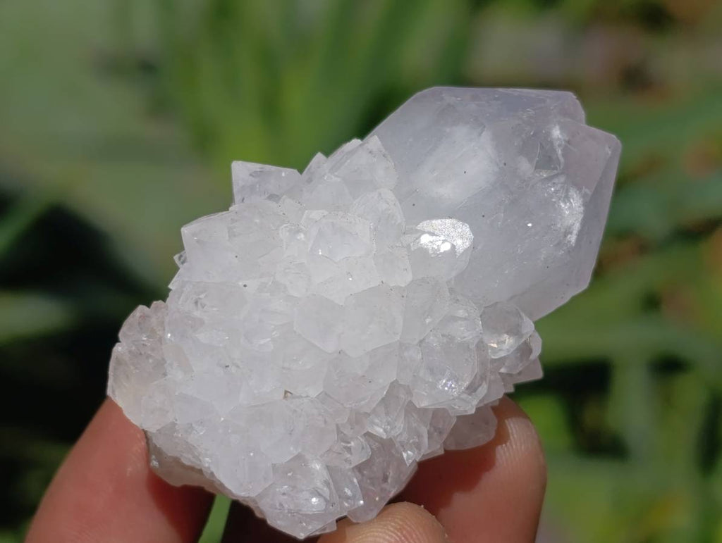Natural Lilac Spirit Quartz Crystals x 20 From Boekenhouthoek, South Africa - Toprock Gemstones and Minerals 