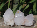 Natural Lilac Spirit Quartz Crystals x 20 From Boekenhouthoek, South Africa - Toprock Gemstones and Minerals 
