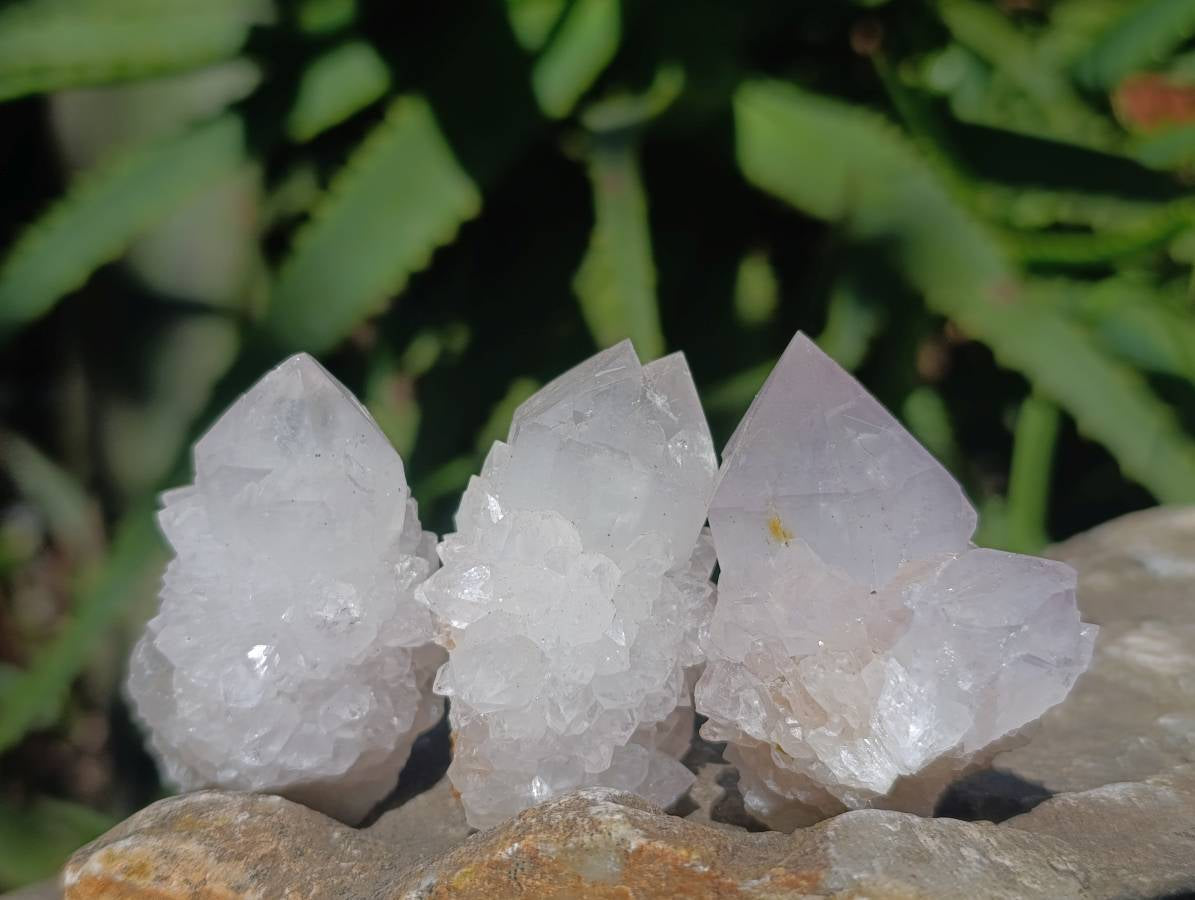 Natural Lilac Spirit Quartz Crystals x 20 From Boekenhouthoek, South Africa - Toprock Gemstones and Minerals 