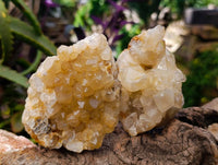Natural Limonite Quartz Clusters x 12 From Solwezi, Zambia - Toprock Gemstones and Minerals 