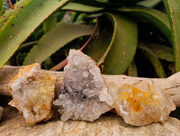 Natural Limonite Quartz Clusters x 12 From Solwezi, Zambia - Toprock Gemstones and Minerals 