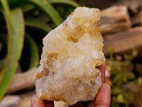 Natural Limonite Quartz Clusters x 12 From Solwezi, Zambia - Toprock Gemstones and Minerals 