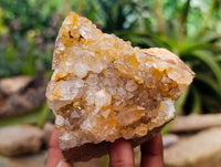 Natural Limonite Quartz Clusters x 12 From Solwezi, Zambia - Toprock Gemstones and Minerals 