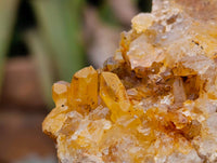 Natural Limonite Quartz Clusters x 12 From Solwezi, Zambia - Toprock Gemstones and Minerals 