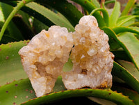 Natural Limonite Quartz Clusters x 12 From Solwezi, Zambia - Toprock Gemstones and Minerals 