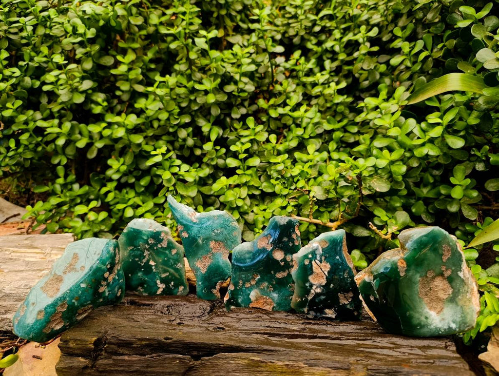 Polished On One Side Mtorolite Plates x 6 From Mutorashanga, Zimbabwe - Toprock Gemstones and Minerals 