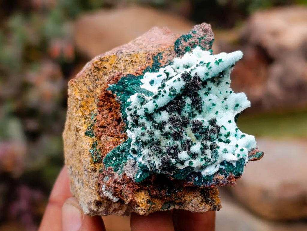 Natural Drusy Coated Malacolla On Dolomite Specimens x 5 From Congo - Toprock Gemstones and Minerals 