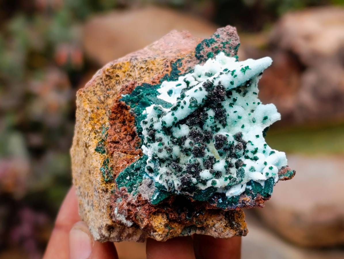 Natural Drusy Coated Malacolla On Dolomite Specimens x 5 From Congo - Toprock Gemstones and Minerals 