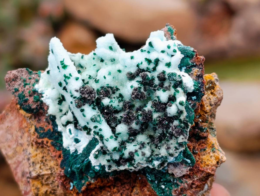 Natural Drusy Coated Malacolla On Dolomite Specimens x 5 From Congo - Toprock Gemstones and Minerals 