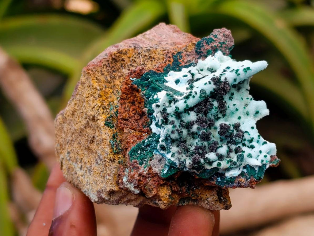 Natural Drusy Coated Malacolla On Dolomite Specimens x 5 From Congo - Toprock Gemstones and Minerals 