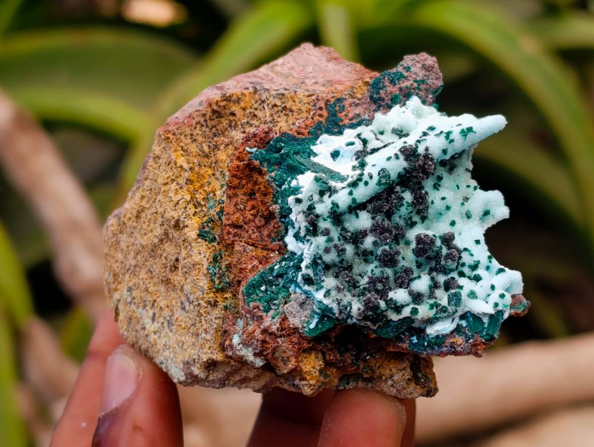 Natural Drusy Coated Malacolla On Dolomite Specimens x 5 From Congo - Toprock Gemstones and Minerals 