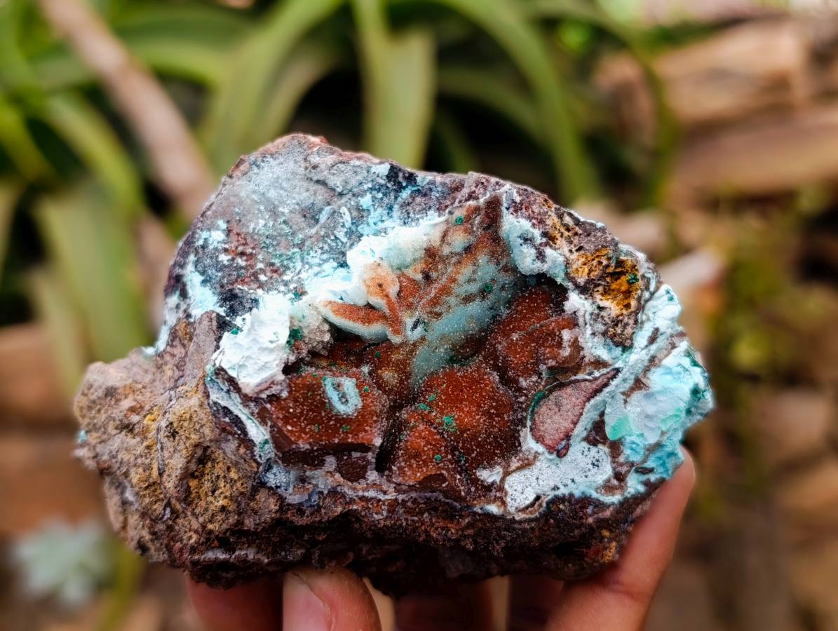 Natural Drusy Coated Malacolla On Dolomite Specimens x 5 From Congo - Toprock Gemstones and Minerals 