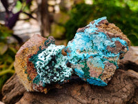 Natural Drusy Coated Malacolla On Dolomite Specimens x 5 From Congo