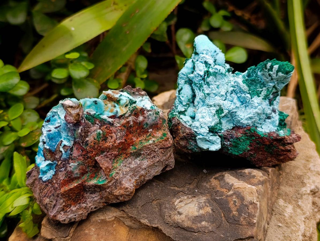 Natural Drusy Coated Malacolla On Dolomite Specimens x 5 From Congo - Toprock Gemstones and Minerals 
