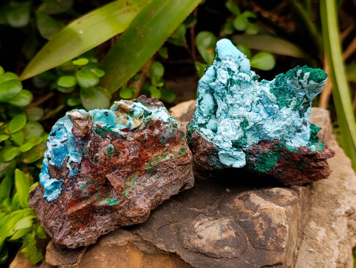 Natural Drusy Coated Malacolla On Dolomite Specimens x 5 From Congo - Toprock Gemstones and Minerals 