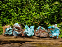 Natural Drusy Coated Malacolla On Dolomite Specimens x 5 From Congo