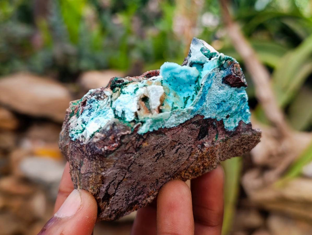 Natural Drusy Coated Malacolla On Dolomite Specimens x 5 From Congo - Toprock Gemstones and Minerals 